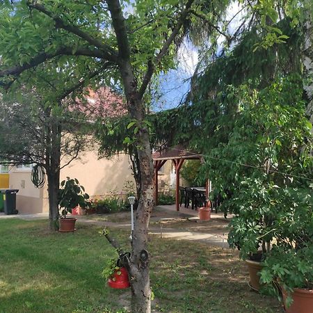 Kovacs Vendeghaz Apartment Hajduszoboszlo Bagian luar foto